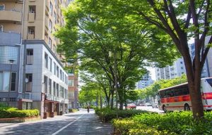 お盆休みのお知らせ【２０２５年】